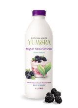 Home - Mora Silvestre